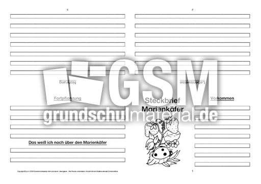 Marienkäfer-Faltbuch-vierseitig-2.pdf